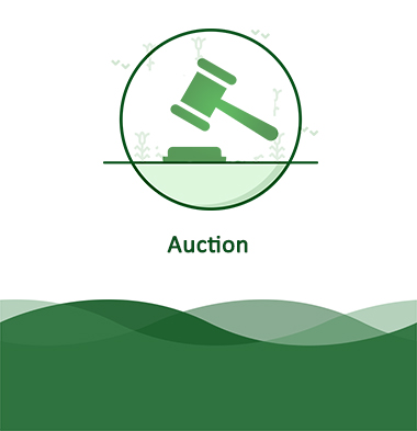 auction